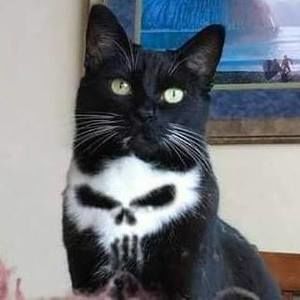 Meet your Posher, Sandy